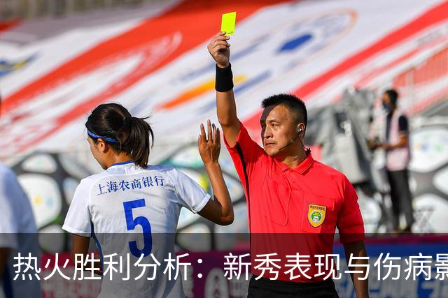热火胜利分析：新秀表现与伤病影响的综合探讨