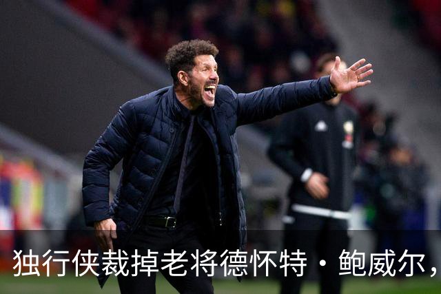 独行侠裁掉老将德怀特·鲍威尔，加盟土耳其费内巴切队